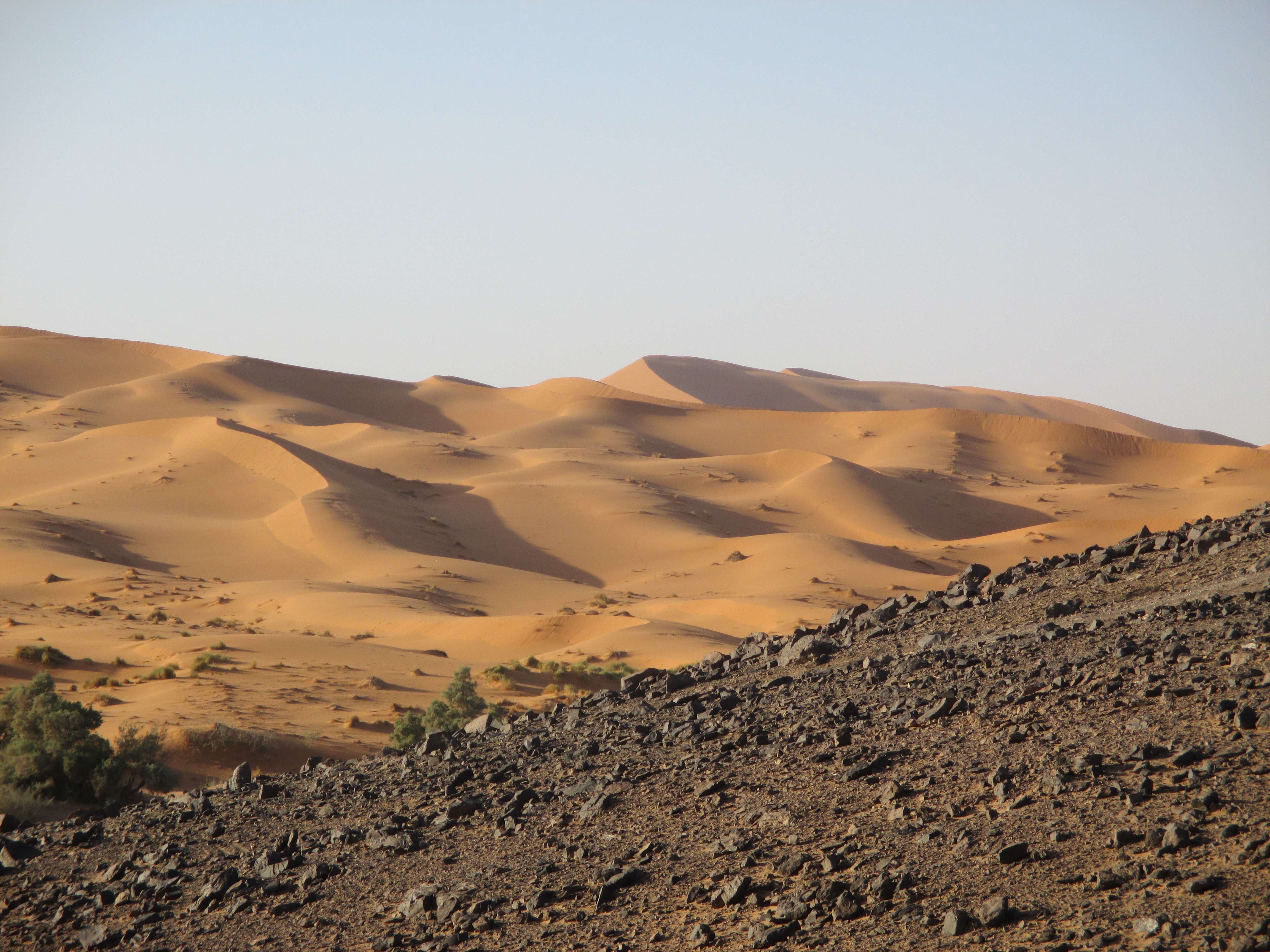 Wüste, Merzouga