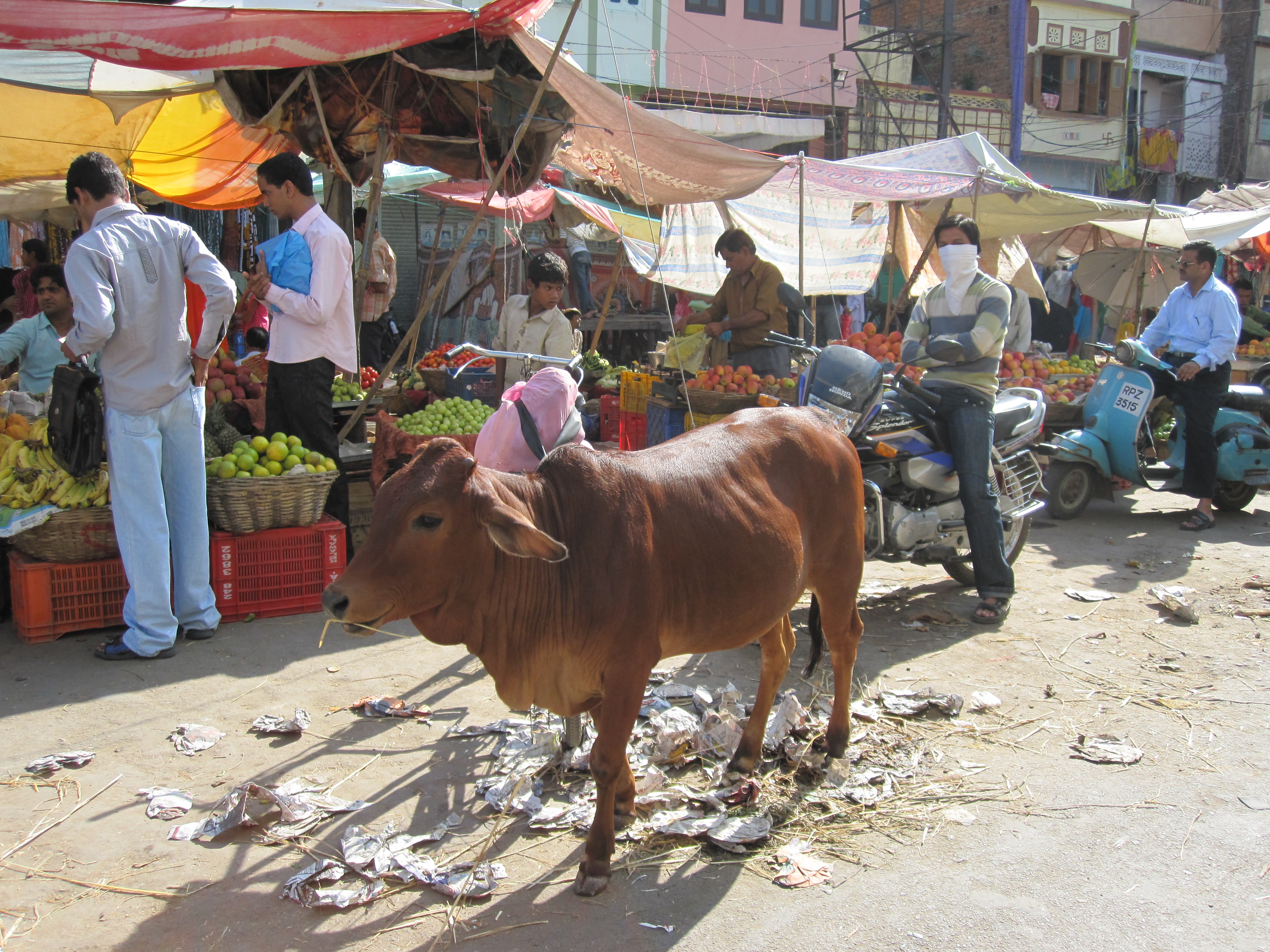 Udaipur, Markt