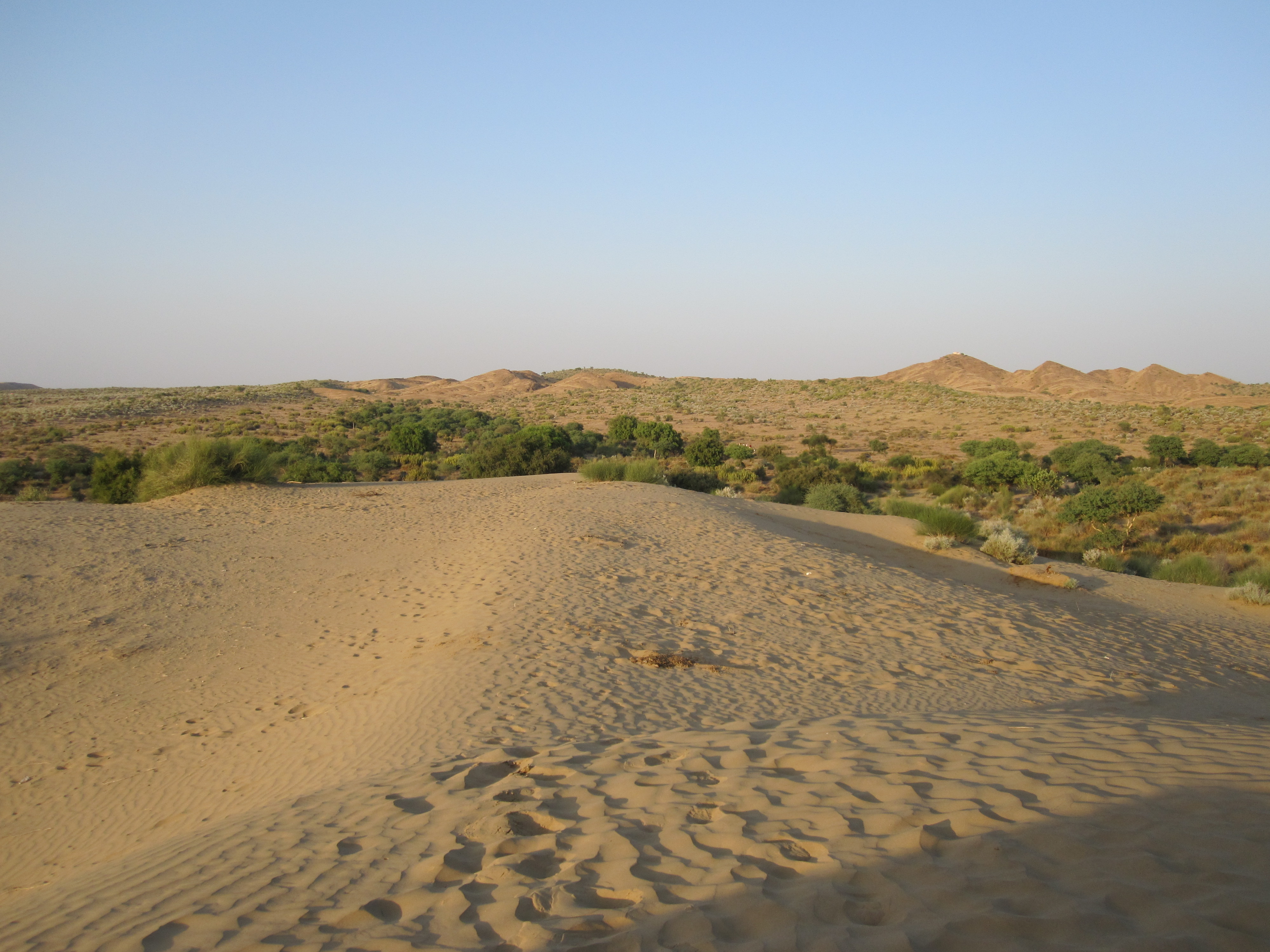 In der Wüste Thar